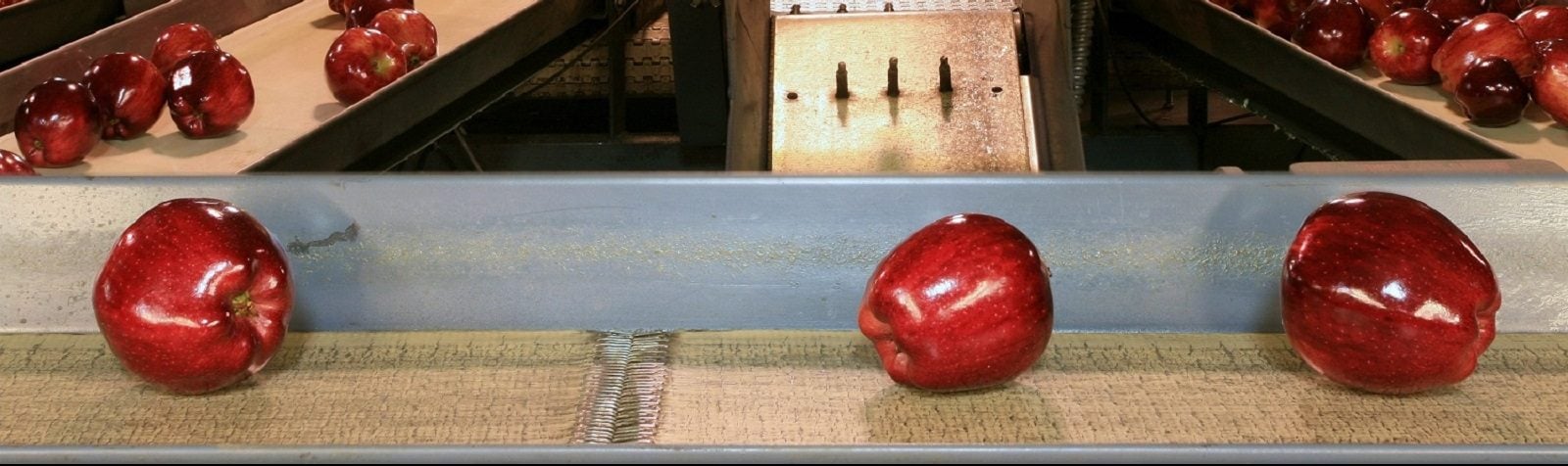 Improving Data Transparency in Food and Beverage Processing