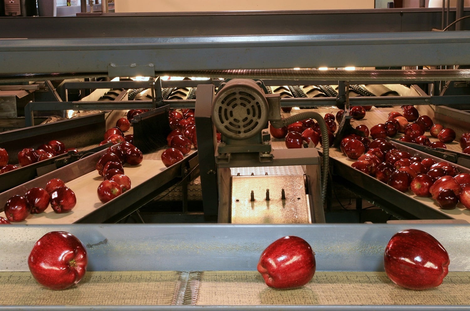 Embracing Variability: A Strategy for the Food & Beverage Industry