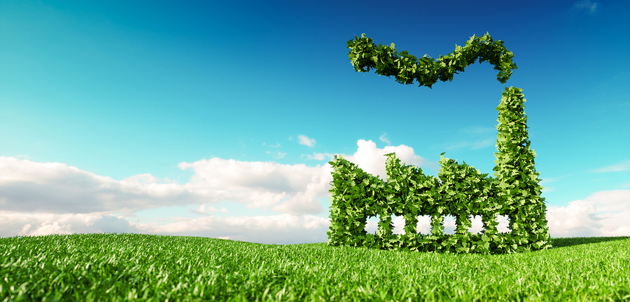 Going Green: Sustainability's Effect on the Chemical Industry
