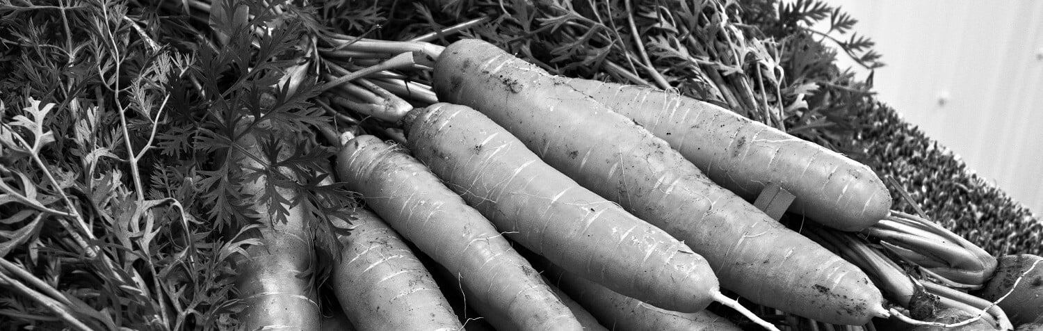 Fresh Food Providers Can Freeze Costs with Strategic Sourcing