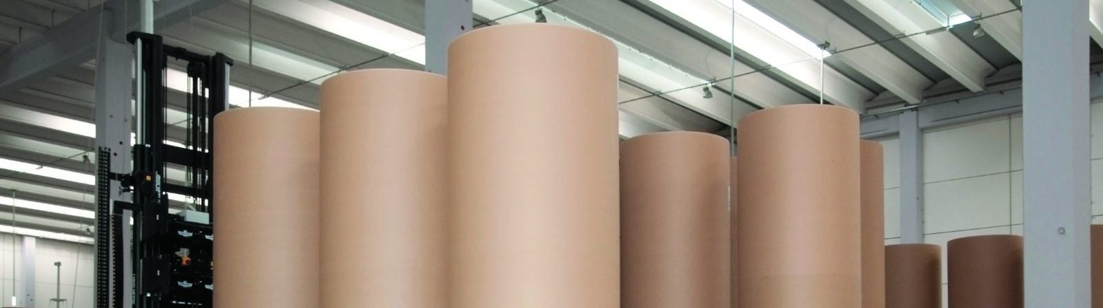 Paper and Pulp: Where do we go from here?