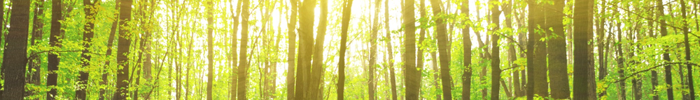 Introducing Metrics. The Business Performance Improvement Blog.