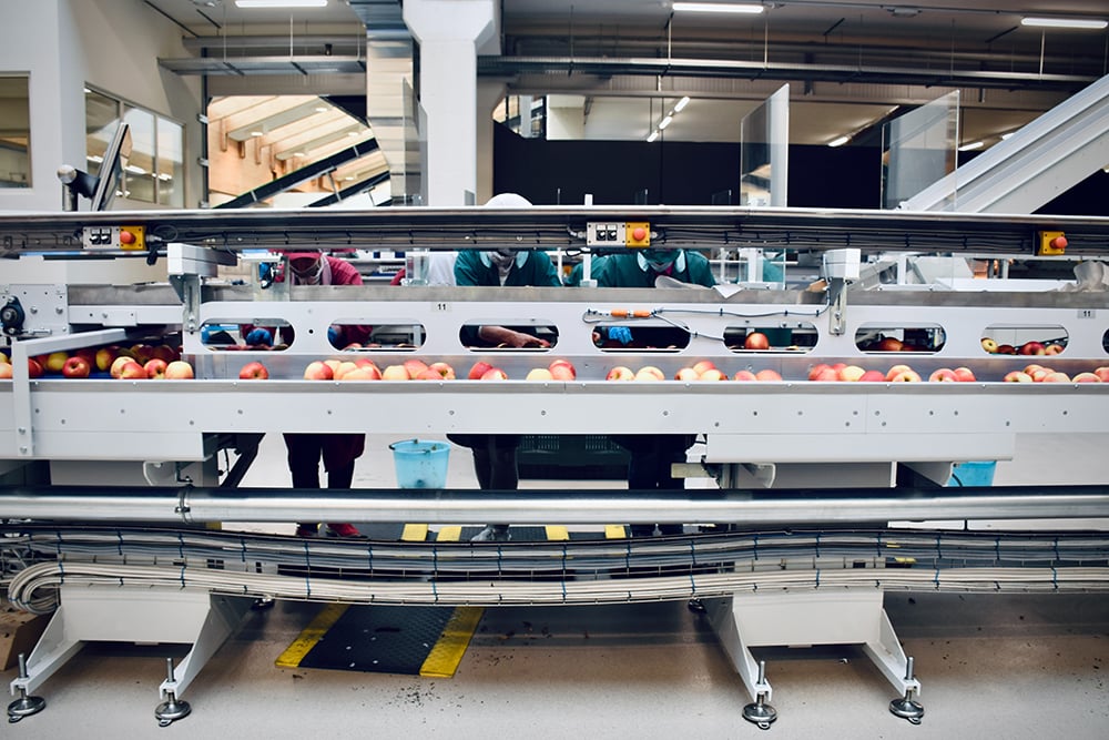 What the Pandemic Has Taught Us About Supply Chains